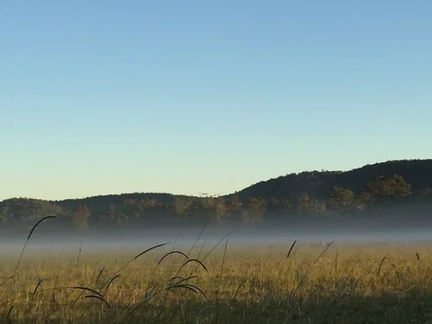 Telegraph Retreat Cottages - Accommodation NT 1