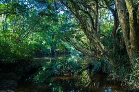 All About Me Bed And Breakfast - Accommodation NT 9