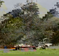 Boronia Farm - Accommodation NT