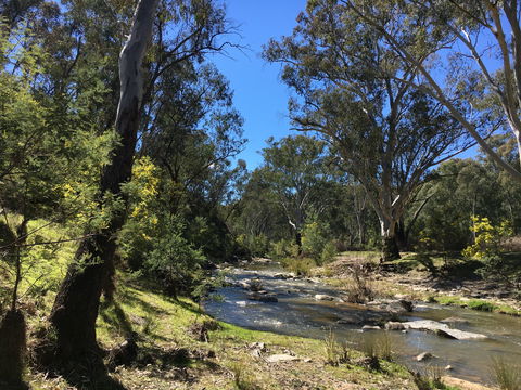 Highfield Farm And Woodland Bush Campsites - Accommodation NT 0