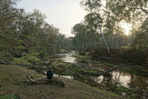 Highfield Farm And Woodland Bush Campsites - Accommodation NT 2