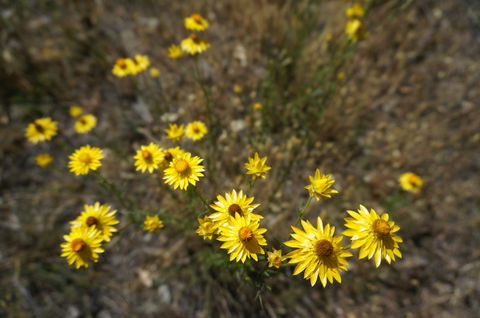 Highfield Farm And Woodland Bush Campsites - Accommodation NT 3