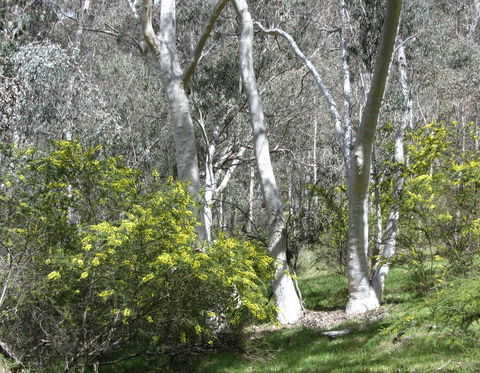 Highfield Farm And Woodland Bush Campsites - Accommodation NT 4