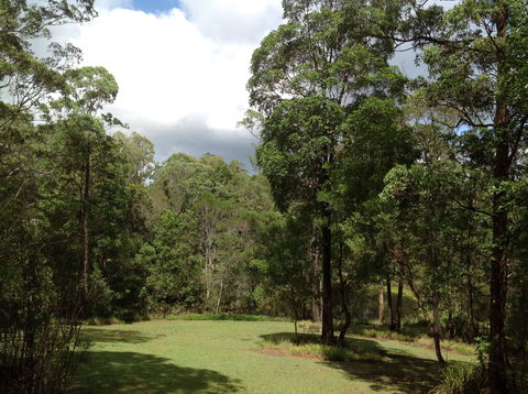 Maleny Country Cottages - Accommodation NT 2