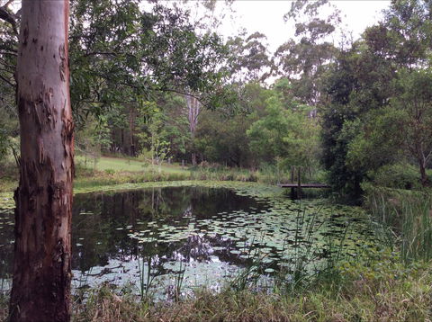 Maleny Country Cottages - Accommodation NT 3