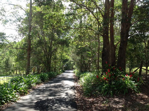 Maleny Country Cottages - Accommodation NT 8