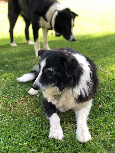 Margaret River Chalets - NT Tourism 1