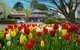 Nesuto Leura Gardens Hotel - thumb 0
