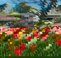 Nesuto Leura Gardens Hotel - Accommodation NT