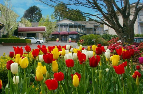 Nesuto Leura Gardens Hotel - Accommodation NT 0