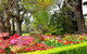 Nesuto Leura Gardens Hotel - thumb 9