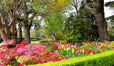 Nesuto Leura Gardens Hotel - Accommodation NT 9