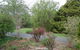 Gisborne BnB Peonies And Pomegranates  - thumb 1