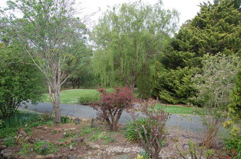 Gisborne BnB Peonies And Pomegranates  - Accommodation NT 1