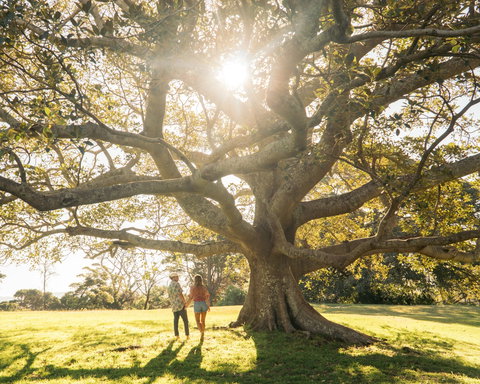 Reflections Killalea Reserve - Accommodation NT 9