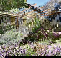 Capertee Homestead - 'Port Macquarie' - Accommodation NT