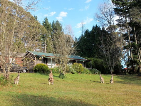 Cedar Lodge Cabins - Accommodation NT 0