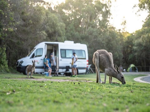 Diamond Head Campground - Accommodation NT 3