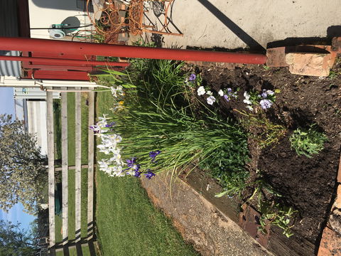 Fairview Bed And Breakfast Cottage - Accommodation NT 2