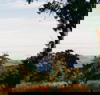 Hilltop Barn at Swan Bay - Accommodation NT