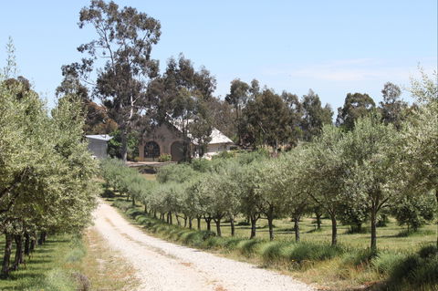 L'Oliveraie - Accommodation NT 2