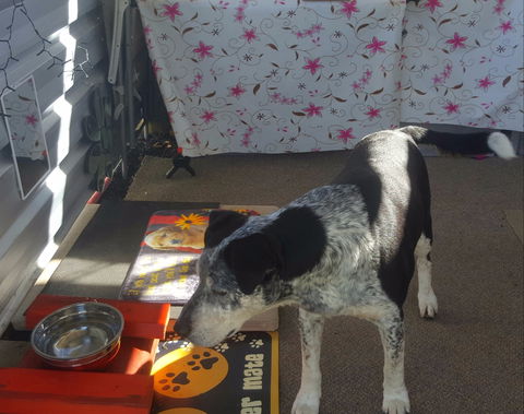 Meeniyan Motel And Bike Hire - Accommodation NT 2