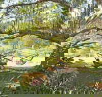 Nimbin Rox YHA - Accommodation NT