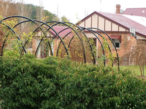 Pierrepoint Wines Bed & Breakfast - Accommodation NT 1