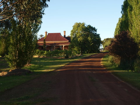 Pierrepoint Wines Bed & Breakfast - Accommodation NT 4