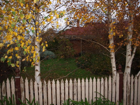 Pierrepoint Wines Bed & Breakfast - Accommodation NT 6