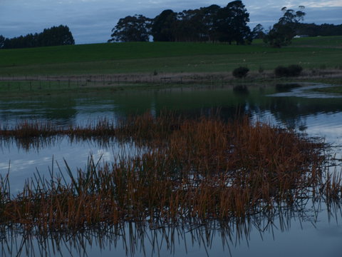 Pierrepoint Wines Bed & Breakfast - Accommodation NT 8