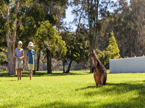 The Basin Campground - Accommodation NT 4