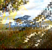 Buttongrass Retreat - Accommodation NT