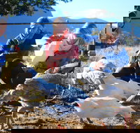 Cedar Glen Farmstay - Accommodation NT