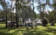 Corowa Bindaree Holiday Park - thumb 2