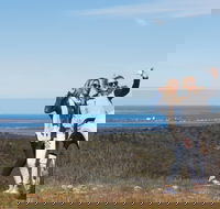 Cowell RV Park - Accommodation NT