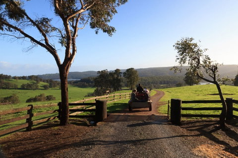 Harvey Hills Farm Stay Chalets - Accommodation NT 1