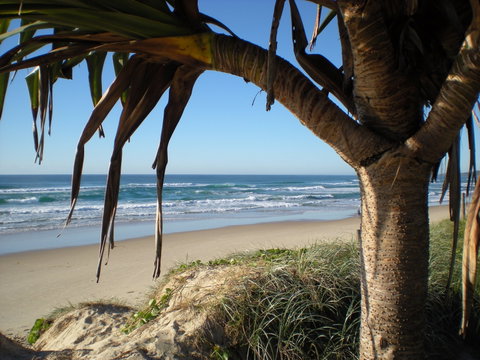 Horizons At Peregian - NT Tourism 0