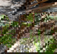 Melaleuca Surfside Backpackers - Accommodation NT