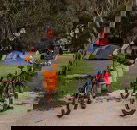 Ngarigo campground - Accommodation NT