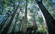 Point Road Camp At Leeuwin-Naturaliste National Park - thumb 1