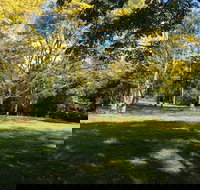 Scenic Rim Adventure Park - Accommodation NT