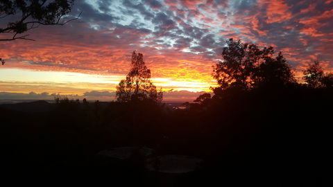 Tamborine Mountain Bed And Breakfast - Accommodation NT 2