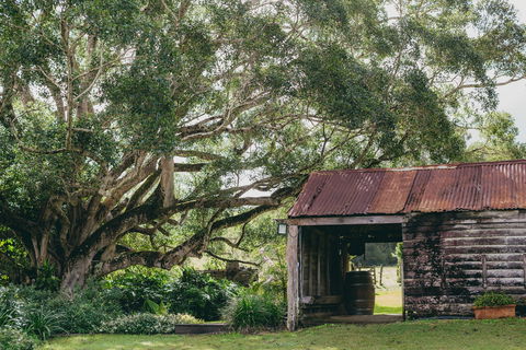 The Eumundi Dairy - Accommodation NT 2