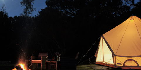 Zeehan Bush Camp - Accommodation NT 1