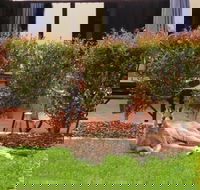 Alpha Canberra Hotel - Accommodation NT