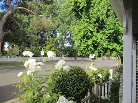 Arendon Cottage - Accommodation NT 1