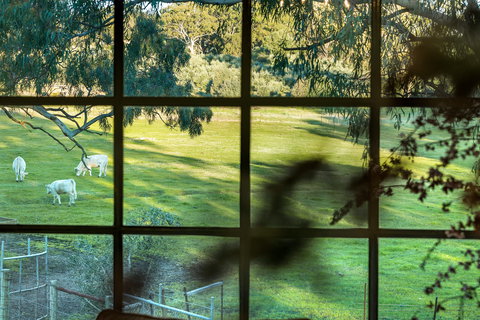 Australia Suite - Accommodation NT 1