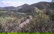 Bellbrook Cabins - thumb 1