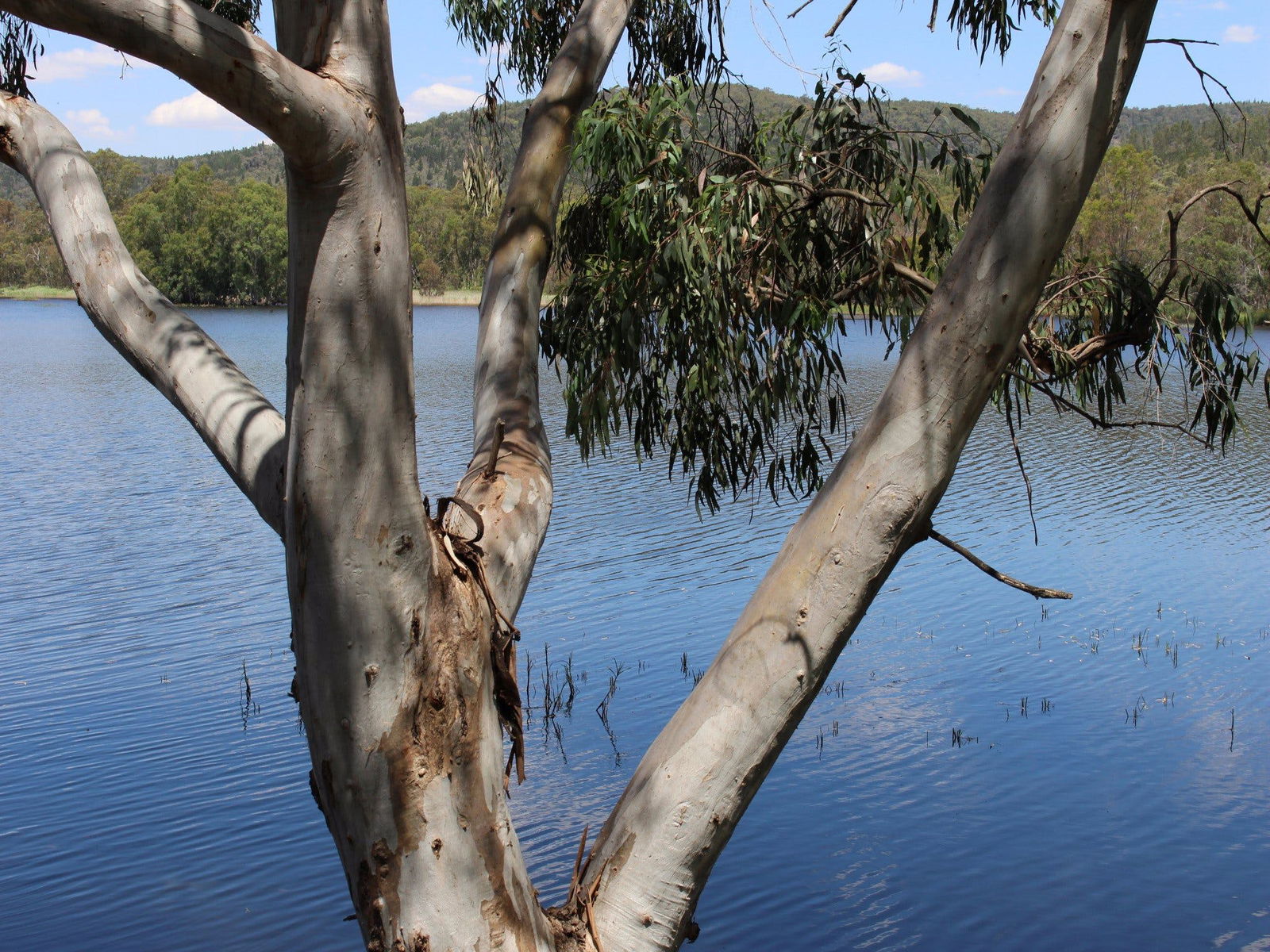  Accommodation NT